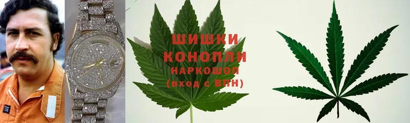 Канабис White Widow  Кизляр 